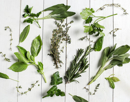 Beneficios de las plantas medicinales para tu piel - Gelherbs